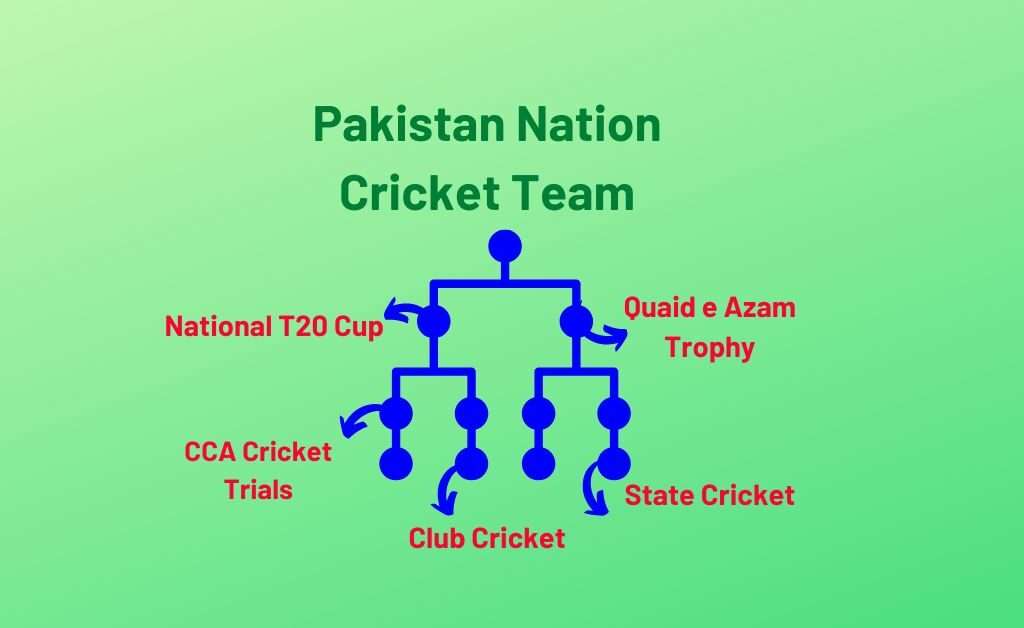 Pakistan domestic cricket