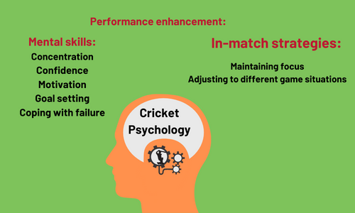 cricket and science of mind