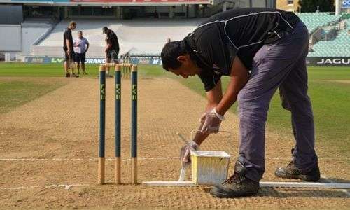 read cricket pitch