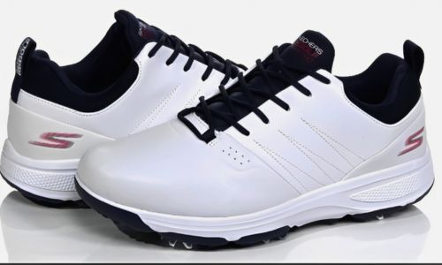 Skechers Men’s Torque Waterproof Golf Shoes for walking